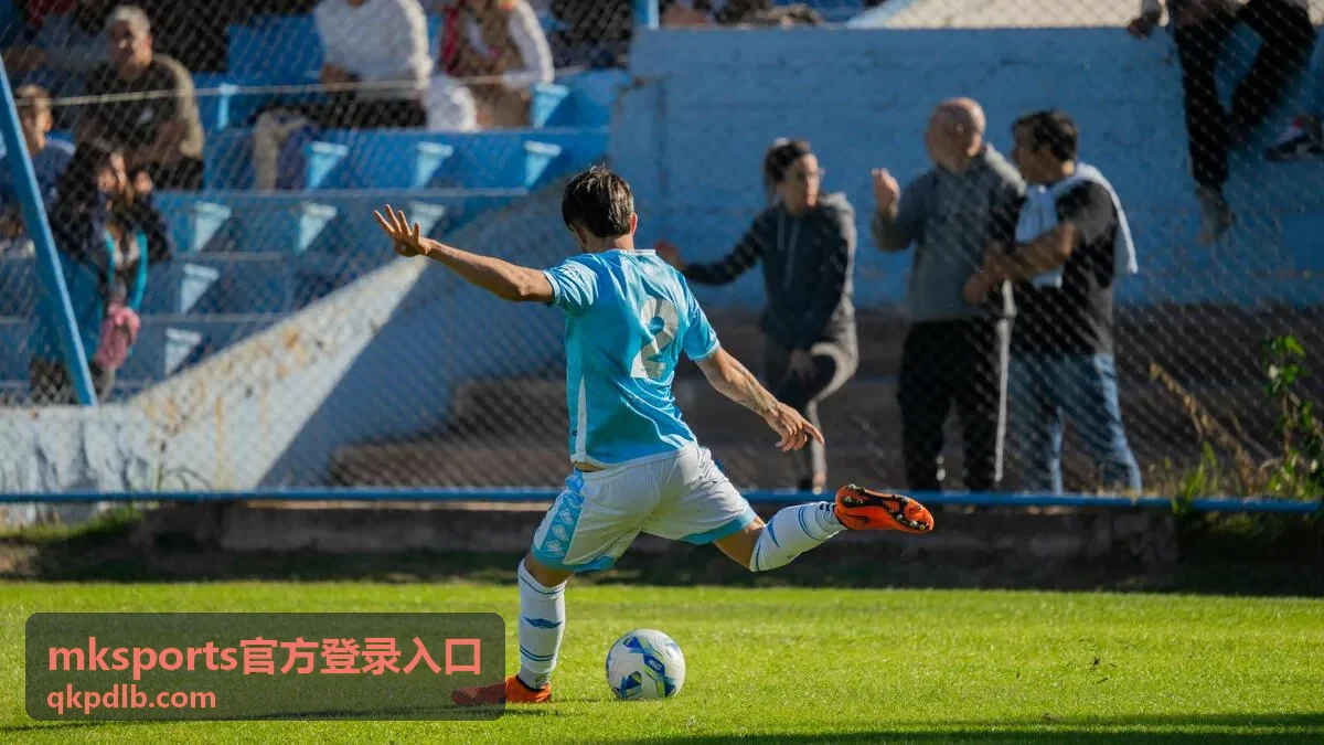 登录入口操作指引:遇到验证码或加载问题时联系支持渠道